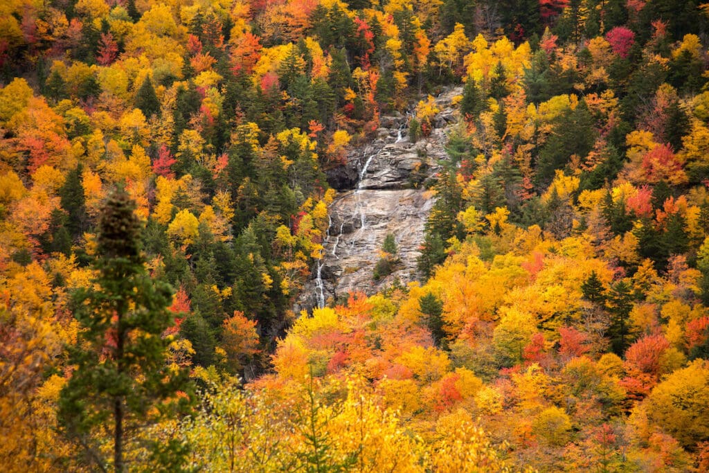 Arethusa Falls Crawford Notch State Park // Explore the best New Hampshire hikes to see fall foliage with our comprehensive hiking guide including directions and trail stats.