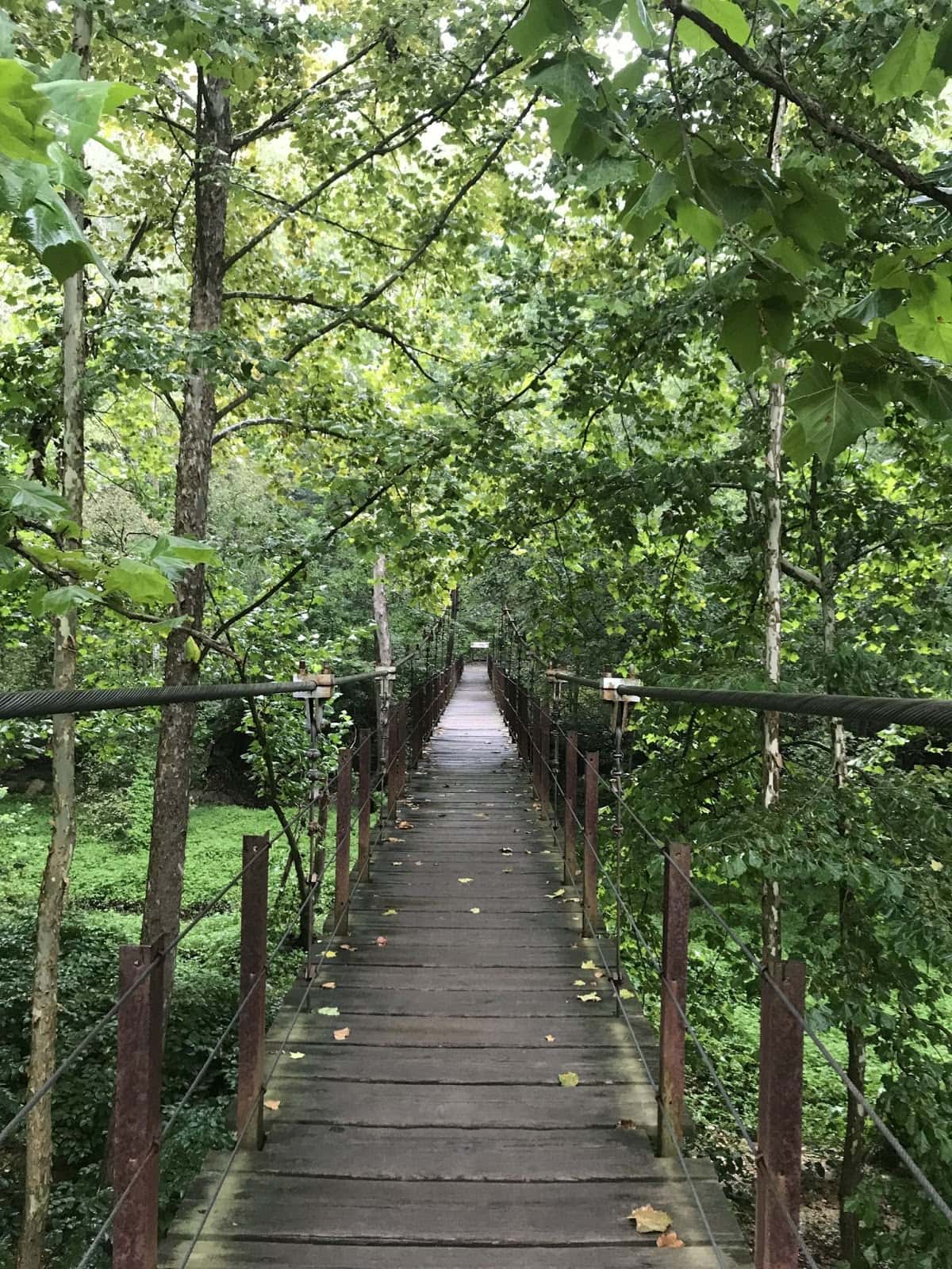 Avalon Loop Trail // Looking for the best hikes in Maryland? Here are our 7 favorite Maryland trails including distances, descriptions, and local tips.