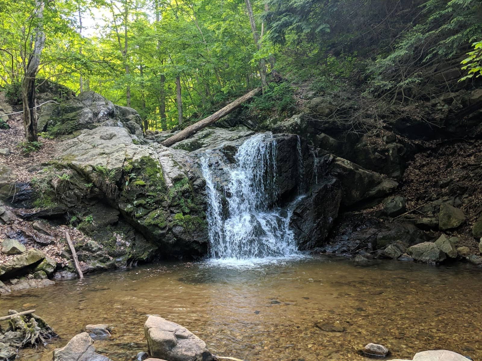 Cascade Falls Loop Trail // Looking for the best hikes in Maryland? Here are our 7 favorite Maryland trails including distances, descriptions, and local tips.