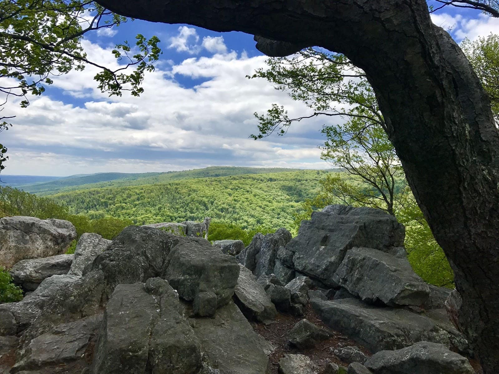 Catoctin Mountain // Looking for the best hikes in Maryland? Here are our 7 favorite Maryland trails including distances, descriptions, and local tips.