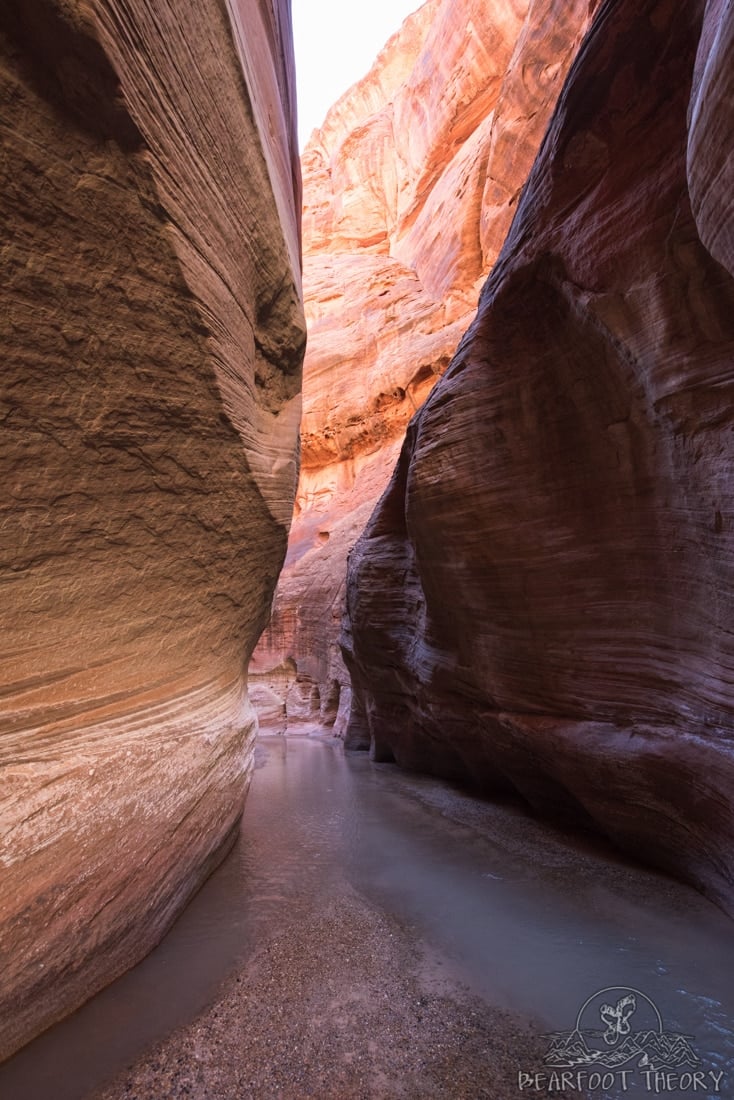 Backpacking Guide for Paria Canyon in Utah including permits, maps, camping, gear, and more.