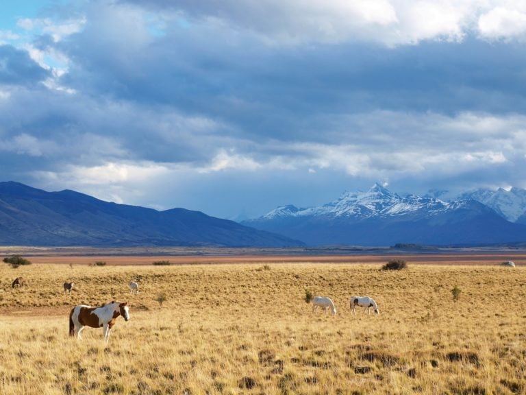 Discover Perito Moreno Glacier, local estancias, the best restaurants & town highlights with our list of the best things to do in El Calafate.