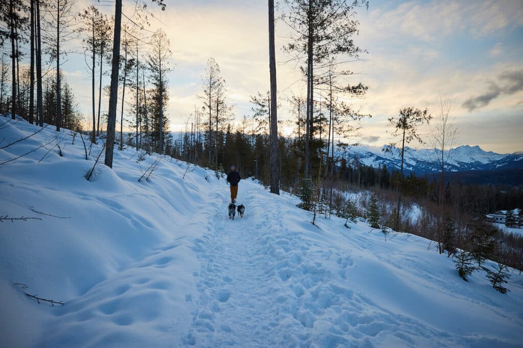 Man and two dogs on a winter sunset hike in Fernie British Columbia