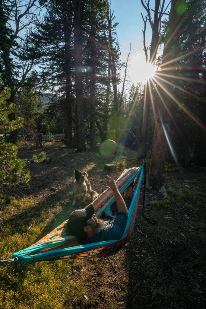 Man laying in an ENO Hammock in the forest playing fetch with a border collie.