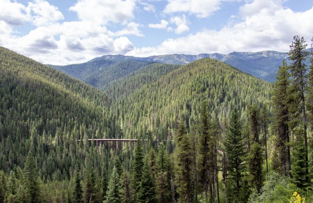 Train trestle on the Hiawatha Trail