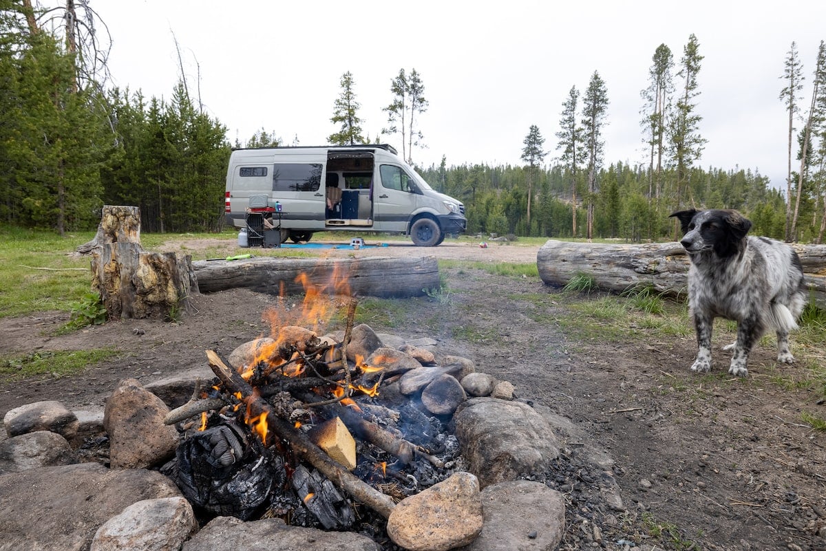 Sprinter van camped at a free dispersed campsite with a fire pit and a dog