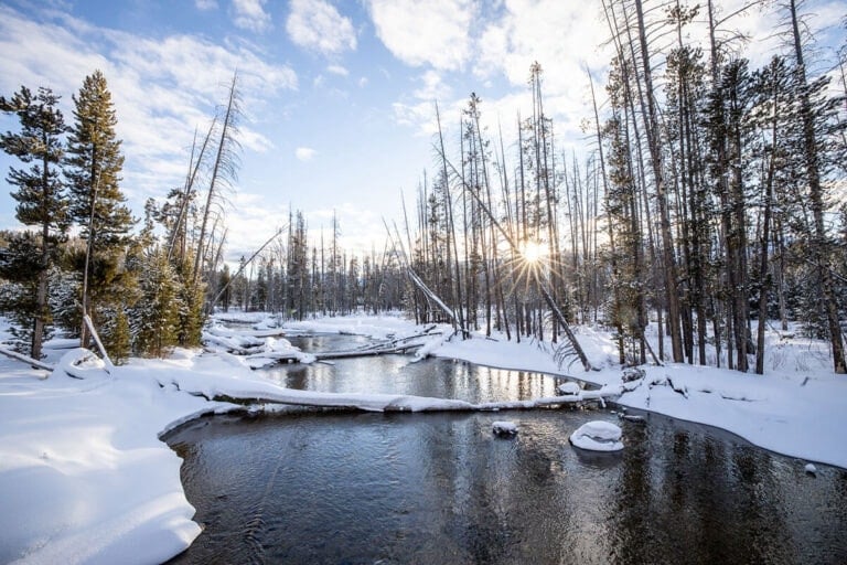 Start planning your Idaho winter vacation with these fun winter activities, from hot springs to snowmobiling to dog sledding and more.