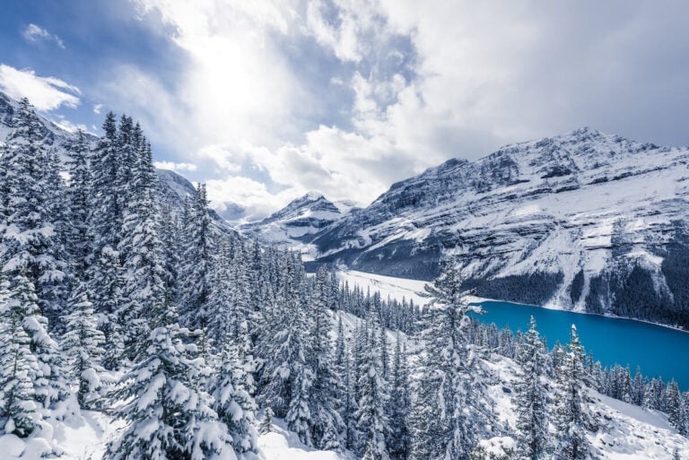 Plan your getaway to Jasper National Park in winter with our guide to the best activities such as skiing, dogsledding, snowshoeing, and more.