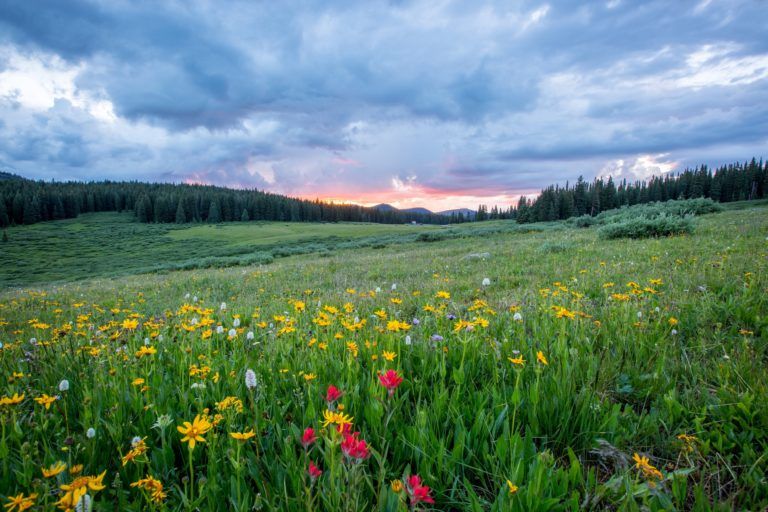 Don't wait until the high elevation snow melts to start hiking in Colorado this summer. here are 5 Colorado spring hikes in the Front Range that are perfect for mud season.