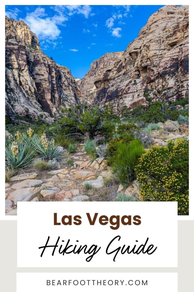 Bearfoot Theory | Las Vegas is more than neon lights—explore the best hiking spots. Our blog post unveils hidden Las Vegas hiking gems filled with scenic views and desert landscapes.