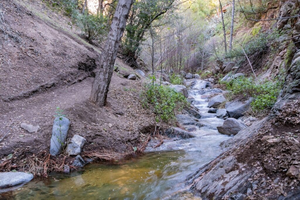 Creek through the forest on the Millard Canyon Falls hike in California