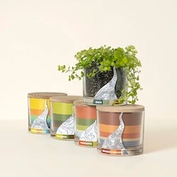 National Parks botanical kit