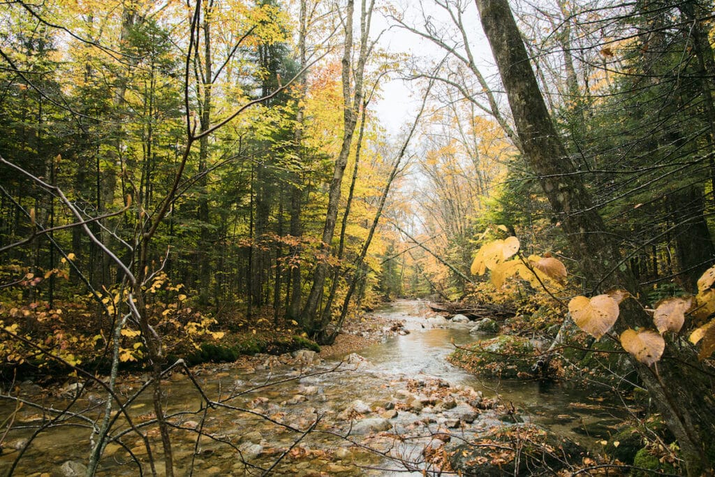 Lonesome Lake, Franconia Notch State Park // Explore the best New Hampshire hikes to see fall foliage with our comprehensive hiking guide including directions and trail stats.