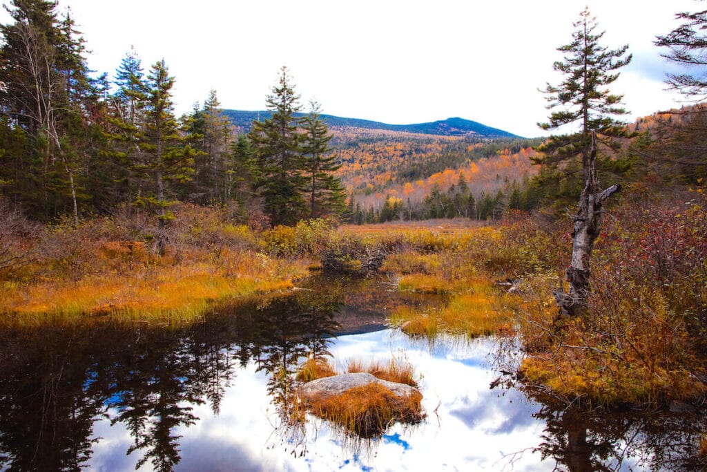 Zealand Peak Trail // Explore the best New Hampshire hikes to see fall foliage with our comprehensive hiking guide including directions and trail stats.