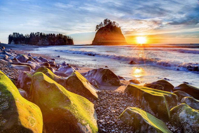 Olympic National Park 5-day Road Trip Itinerary