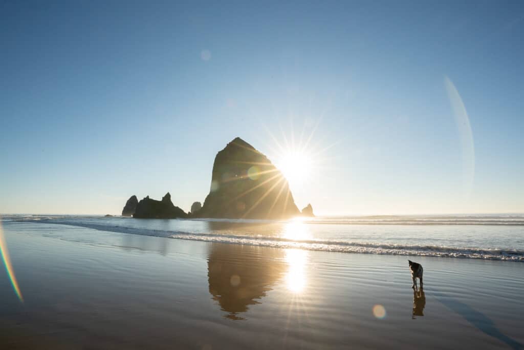 Haystack Rock at Cannon beach with the sun setting behind it. A dog is sitting on the beach