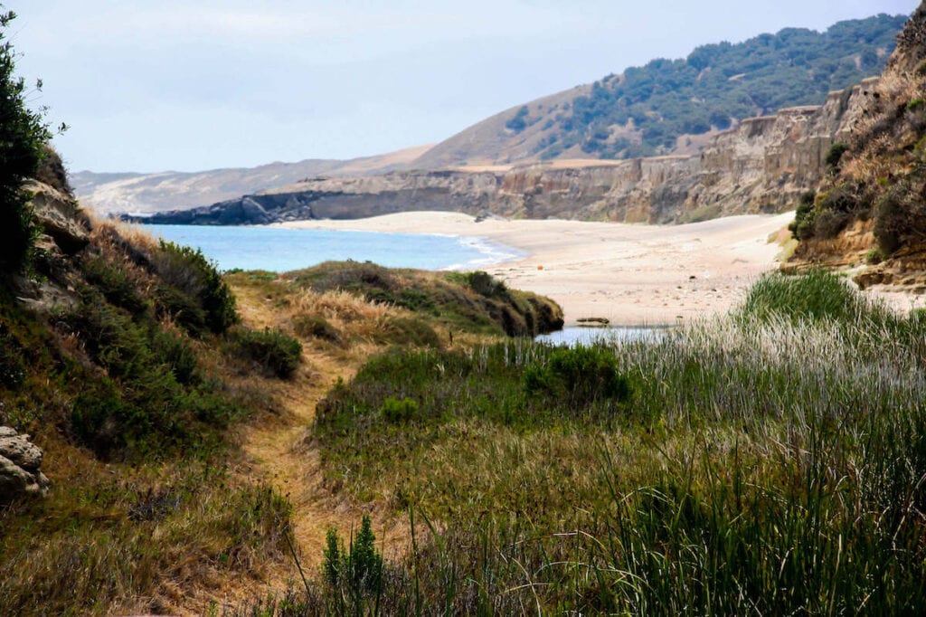 Santa Rosa Island // Learn everything you need to know about exploring Channel Islands National Park including where to camp, what to do, gear to pack, and more!