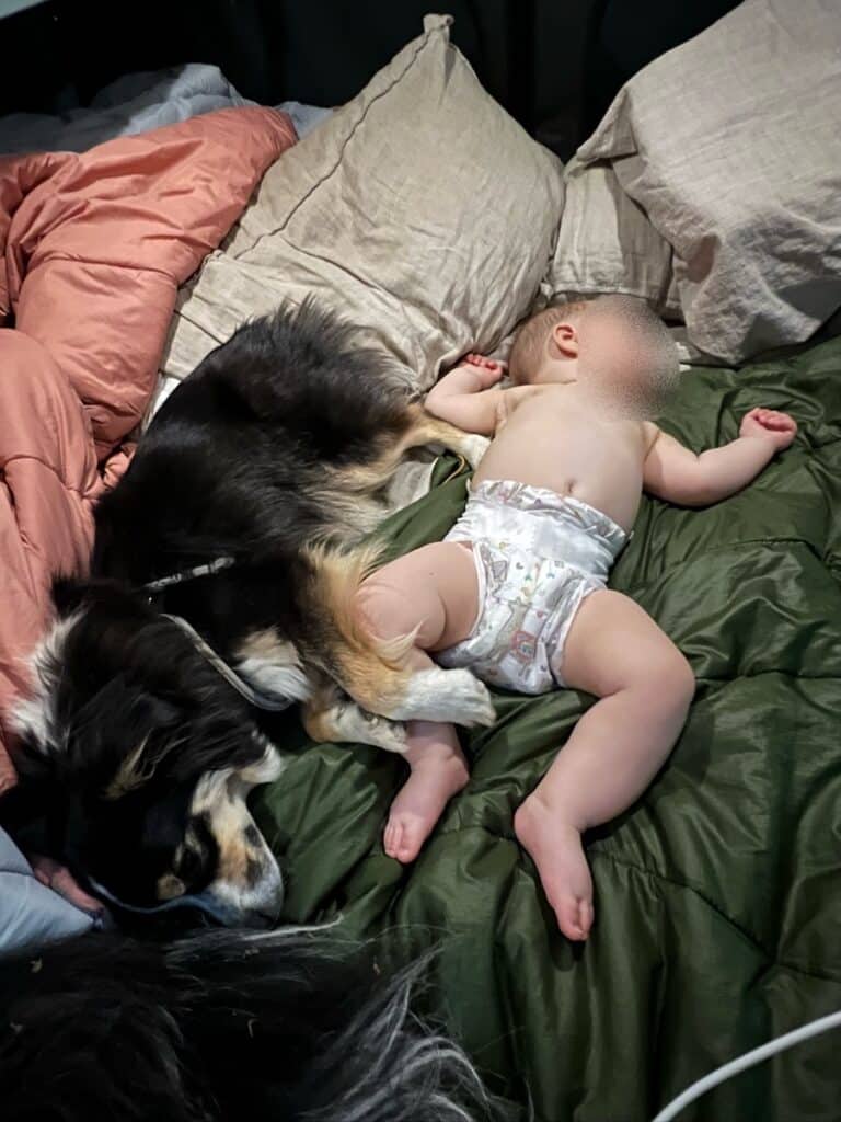 Baby sleeping next to a dog in a Sprinter Van. Baby's face is blocked out