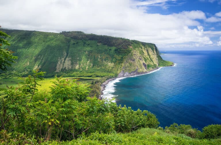 Waipio Valley Lookout on Big Island Hawaii