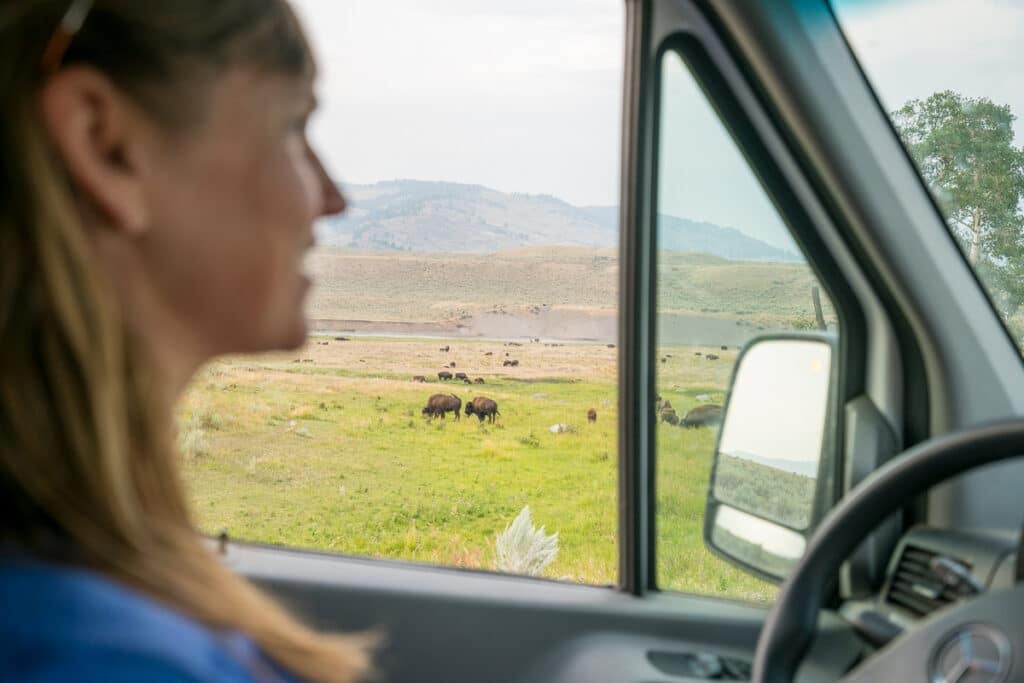 Kristen Bor in the drivers seat of a Sprinter Van driving through Lamar Valley with bison out the window